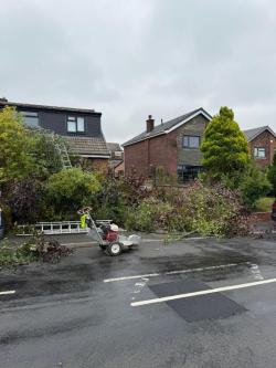 M.R Gardening & Tree Service in Dublin - Image 5