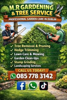M.R Gardening & Tree Service in Dublin - Image 9