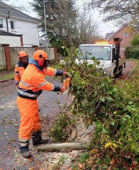 M.R Gardening & Tree Service in Dublin - Image 10
