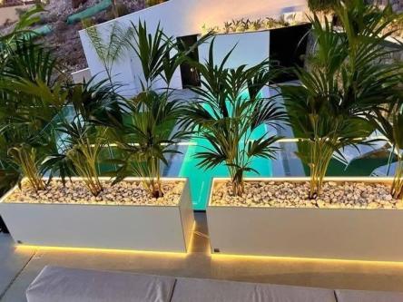MACETEROS MODERNOS en Santo Domingo - Imagen 7