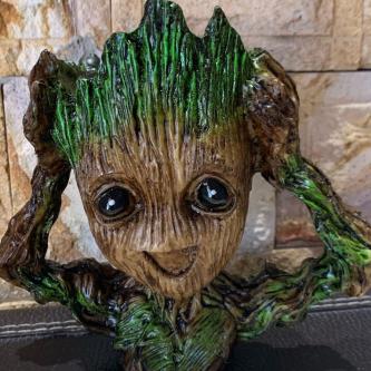 MACETITAS GROOT en Temixco - Imagen 2