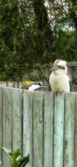 MAKE FOR LONG TERM RELATIONSHIP in Toowoomba - Image 1