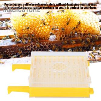 Magicstore Queen Rearing Set Plastic Bee Breeding Kits … in Singapore - Image 1