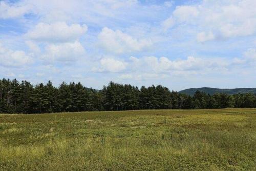 Maplot Martins Ridge Rd, Franklin, Plot For Sale in Bangor - Image 1
