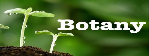 Mastering General Botany Complete Guide for Students in Meerut - Image 1