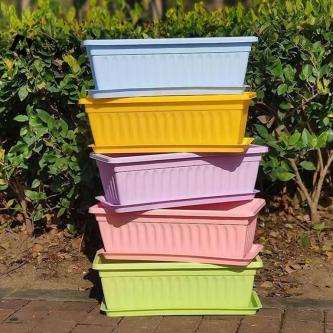 [MaxgePC] 1Set Plastic Vegetable Planters Rectangular … in Singapore - Image 1