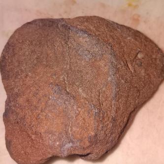 Meteorito Rocoso en Santa Cruz de la Sierra - Imagen 1