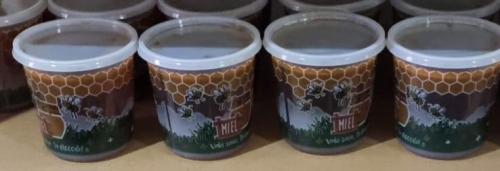 Miel Multifloral en Santiago de Chile - Imagen 2