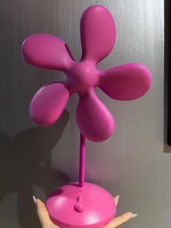 Mini Fan Decorative in Sydney - Image 2
