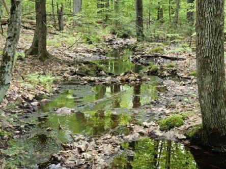 Ml Mountain View Rd, Fryeburg, Plot For Sale in Portland - Image 1