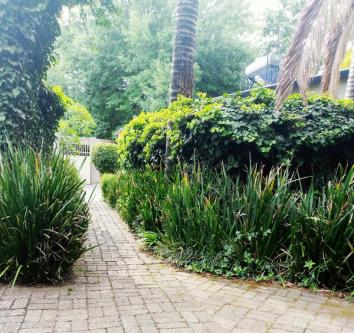 Month to Month Rental in Johannesburg - Image 9