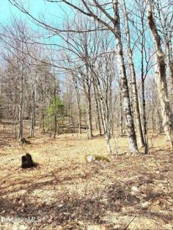 Moores Rd, Florida, Plot For Sale in Troy - Image 1
