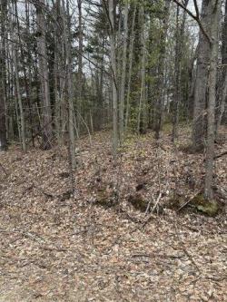 Moose Hill Rd Lot,livermore Falls, Plot For Sale in Portland - Image 1