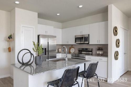 Move In Now — Pay $0 Until 2026! in Spring - Image 1