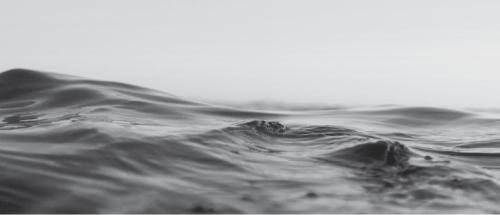 NZ Opera | The Pearl Fishers in Auckland - Image 1