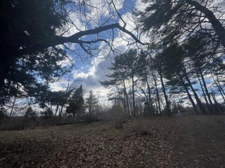 Nelson Rd, Vassalboro, Plot For Sale in Bangor - Image 1