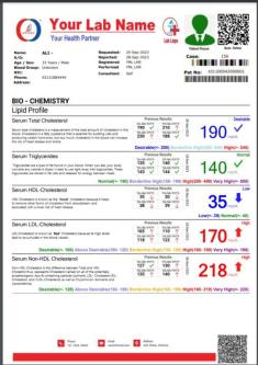 New Features Online Medical Lab Software - Run from any Computer in Lahore - Image 4