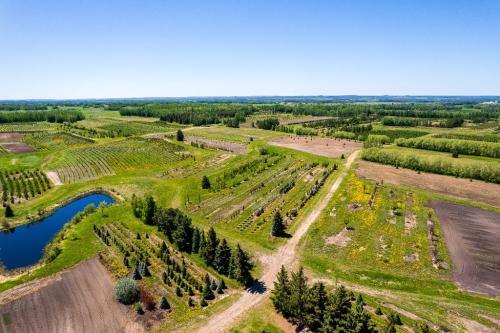 Nursery Labourer in Cochrane - Image 2