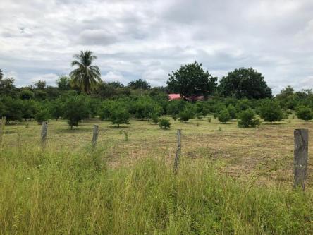 OFERTA DE EMPLEO – FINCA RURAL en Planadas - Imagen 1