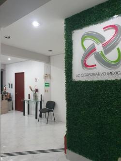 OFICINAS EJECUTIVAS VIRTUALES EN RENTA! EL MEJOR PRECIO... en Toluca - Imagen 6