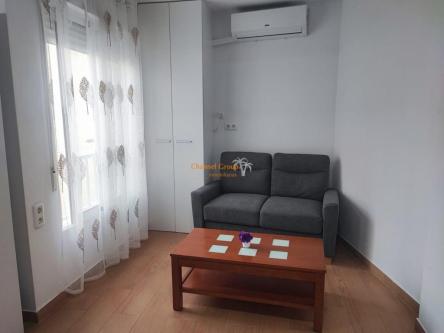 OPORTUNIDAD FINCA RUSTICA DE REGADIO CON CASA DE CAMPO … en Elx - Imagen 1