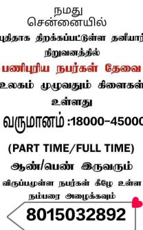 Office assistant in Guindy - Image 1