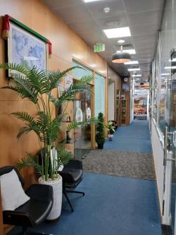 Office space available for Rent in Dubai - Image 6