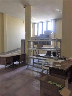 Oficinas y Bodega en Renta en Merced Gómez - Imagen 14