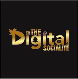 Online Success with Digital Socialite's Expert SEO Services in Jaipur - Image 1