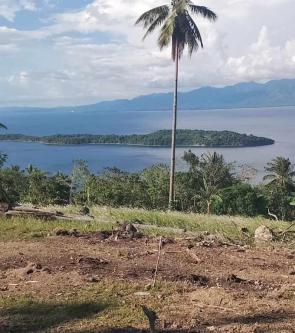 Overlooking Property in Samal Island in Samal - Image 4