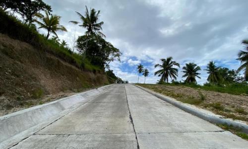 Overlooking Property in Samal Island in Samal - Image 6