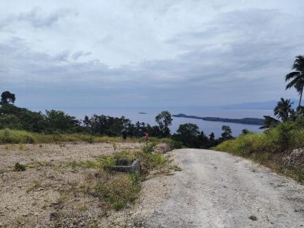 Overlooking Property in Samal - Image 1