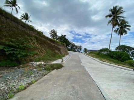 Overlooking Property in Samal - Image 4