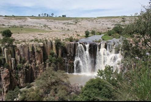 *P R E V E N T A * MAGNÍFICOS TERRENOS PLUS + en Tequisquiapan - Imagen 6
