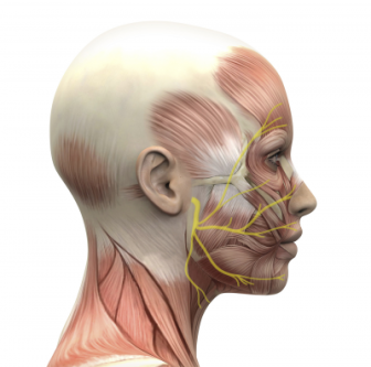 PARALISIS FACIAL -TRATAMIENTO en San Miguel de Pallaques - Imagen 2