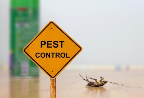 PEST CONTROL SERVICES in New Delhi - Image 1