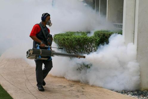 PEST CONTROL SERVICES in New Delhi - Image 4