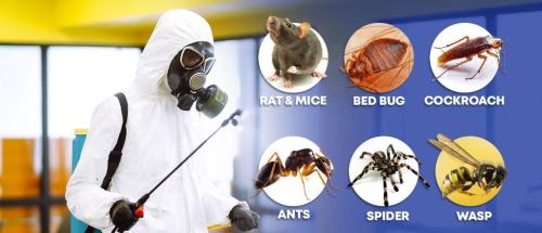 PEST CONTROL SERVICES in New Delhi - Image 5