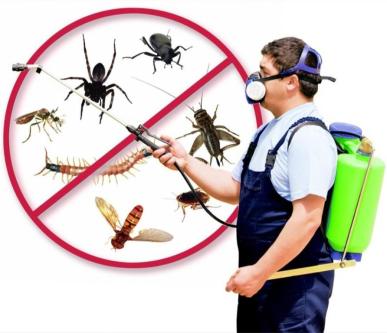 PEST CONTROL SERVICES in New Delhi - Image 8