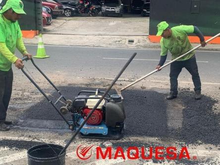 PLATO VIBRATORIO CON MOTOR HONDA en Quetzaltenango - Imagen 2