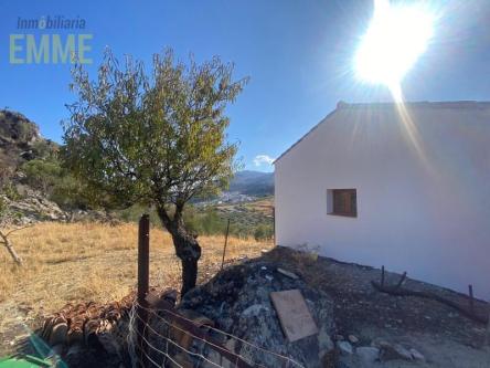 PRECIOSA FINCA RÚSTICA CON CASA REFORMADA en Puente-Genil - Imagen 1