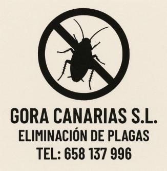 ¿PROBLEMAS DE CUCARACHAS en Las Palmas de Gran Canaria - Imagen 1
