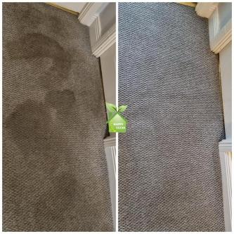 PROFESSIONAL CARPET CLEANING in Dublin - Image 1