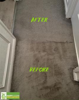 PROFESSIONAL CARPET CLEANING in Dublin - Image 1