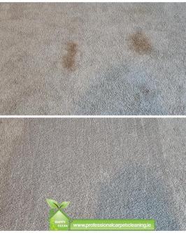 PROFESSIONAL CARPET CLEANING in Dublin - Image 2