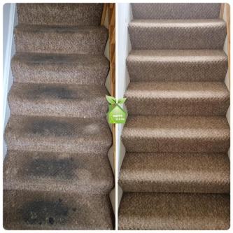 PROFESSIONAL CARPET CLEANING in Dublin - Image 3