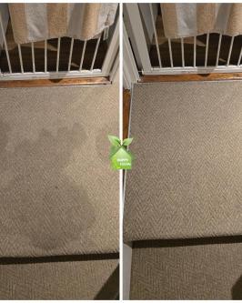 PROFESSIONAL CLEANING SERVICES in Dublin - Image 2
