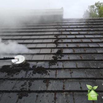 PROFESSIONAL CLEANING SERVICES in Dublin - Image 7