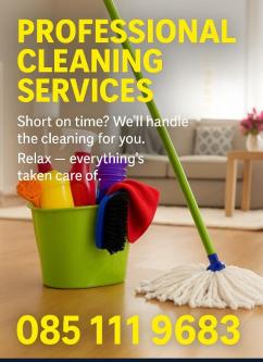 PROFESSIONAL CLEANING in Carlow - Image 1