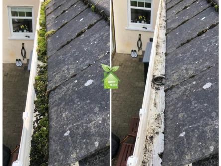 PROFESSIONAL GUTTER CLEANING in Dublin - Image 3